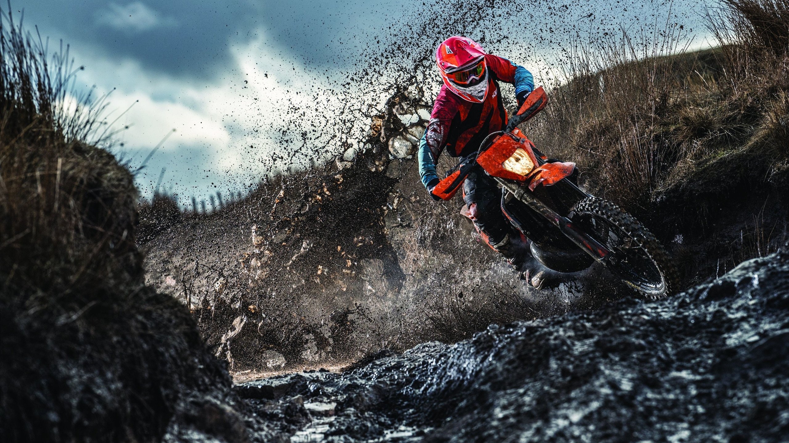 罗德里关键制胜,尼日利亚力克喀麦隆,非洲杯上演经典对决